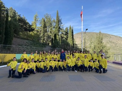 Картинка 4349)